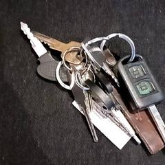 Clauer, segons ha informat RRReis IJssel-Vecht mitjançant iLost