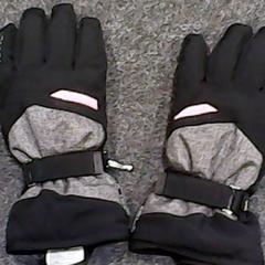 Gants reusch, a été signalé par SnowWorld Landgraaf utilisant iLost