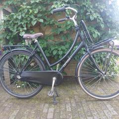 Meisjesfiets, Cortina, amint azt az iLostnak jelentették.