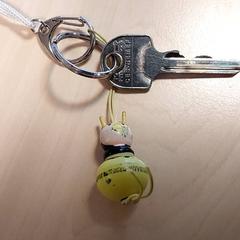 Chave, como reportado por Centraal magazijn utilizando o iLost