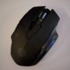 الفأر Zwart، كما تم الإبلاغ عنه بواسطة Vrije Universiteit Amsterdam عبر iLost