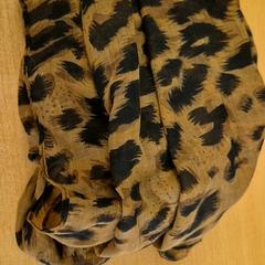 Châle Bruin met zwart, a été signalé par Mauritshuis Den Haag utilisant iLost