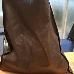 Bag, as reported by RET using iLost