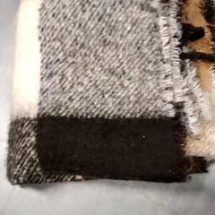 Sjal, rapporterat av Arriva Friesland / Groningen med iLost