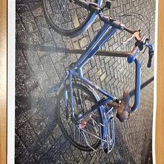 Női kerékpár, amint azt Gemeente Roermond az iLost segítségével jelentette.