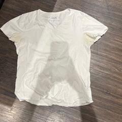 Chemisier, a été signalé par Van der Valk Hotel Veenendaal utilisant iLost