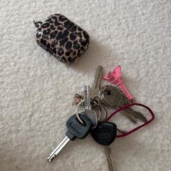 AirPods & keys, gerapporteerd met iLost