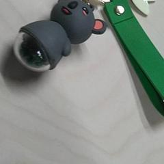 Schlüsselbund, gemeldet von IKEA Gent über iLost