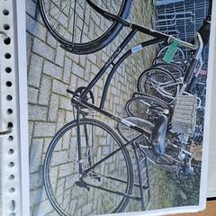 Damenrad, gemeldet von Gemeente Roermond über iLost