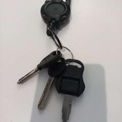 İLost kullanarak Arriva Limburg Zuid tarafından bildirildiği gibi Anahtarlar