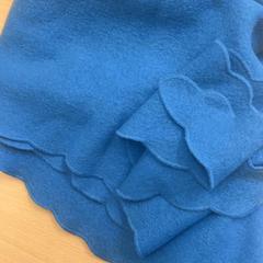 Schal, gemeldet von Schönbrunn "Group Center" über iLost