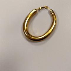 귀걸이, iLost를 사용하여 Vrije Universiteit Amsterdam에 보고됨