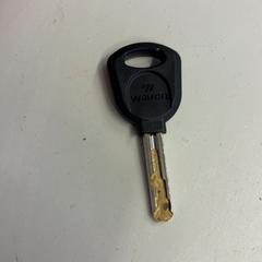 Schlüssel, gemeldet von HTM über iLost