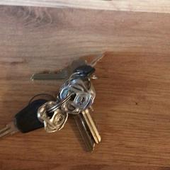 Klucze, zgłoszono przez Attractie- & Vakantiepark Slagharen przy użyciu iLost