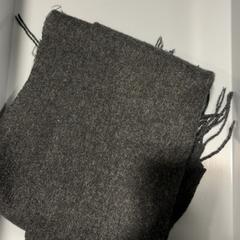 Xal Grijs, segons ha informat Fenix mitjançant iLost