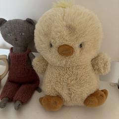 Kuiken knuffel, iLost에 보고됨