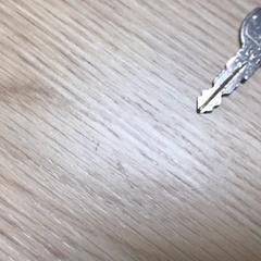 Key, as reported by Diakonessenhuis Zeist using iLost