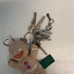 Clé, a été signalé par Gemeente Arnhem utilisant iLost