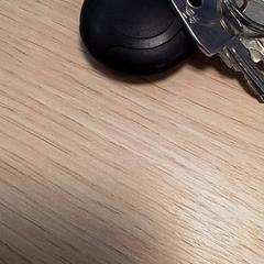 Clés, a été signalé par Qbuzz Fryslân utilisant iLost