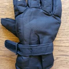 Rukavice Zwart rechts, jak nahlášeno DierenPark Amersfoort pomocí iLost