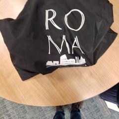 Bag, as reported by Connexxion Haarlem AML using iLost