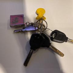 Nøkler, som rapportert av Gemeente Amsterdam ved bruk av iLost