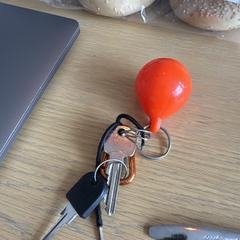 Sleutels, as reported to iLost