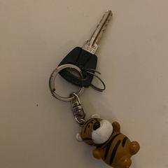 Enkele (fiets)sleutel met tijgertje-sleutelhanger, gerapporteerd met iLost
