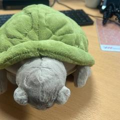 Stufftoy, ako bolo nahlásené Sheraton Brussels Airport Hotel pomocou iLost