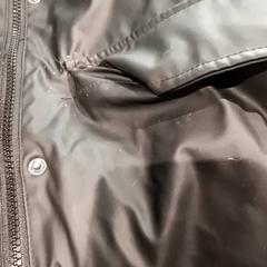 Dzseki, amint azt De Efteling az iLost segítségével jelentette.