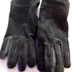 Hansker, som rapportert av EBS Tramplein ved bruk av iLost