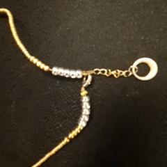 Collar Kralen ketting, ha sido reportado por DierenPark Amersfoort con iLost
