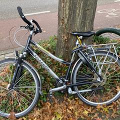 Fiets، كما تم الإبلاغ عنه عبر iLost