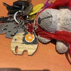 Porte-clés sleutelsbos, a été signalé par Gemeente Amsterdam utilisant iLost