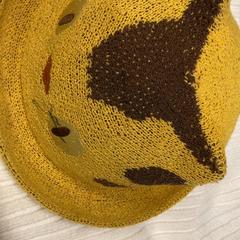 القبعة، كما تم الإبلاغ عنه بواسطة IKEA長久手 عبر iLost