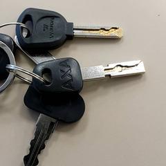 Chiavi, come riportato da Centraal magazijn utilizzando iLost