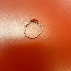 Eraztuna, gisa salatu by UvA REC iLost erabiliz