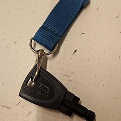 Strap, as reported by GVB using iLost