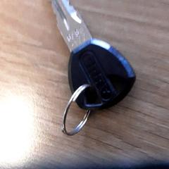 Nyckel, rapporterat av LUMC med iLost