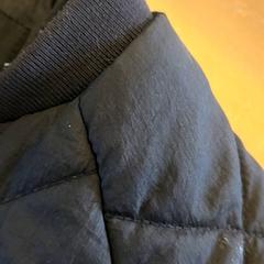 Jacke, gemeldet von Avonturenboerderij Molenwaard über iLost