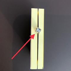 Earring, as reported by Van Gogh Museum using iLost