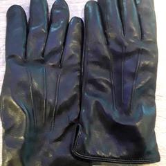 Guanti, come riportato da EBS Tramplein utilizzando iLost