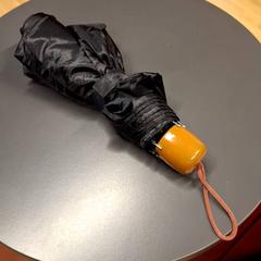 Umbrella, as reported by IKEA Nice Saint Isidore using iLost