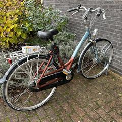 Fiets Batavus, ha sido reportado a iLost