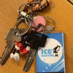 Clé, a été signalé par Inntel Hotels Amsterdam Centre utilisant iLost