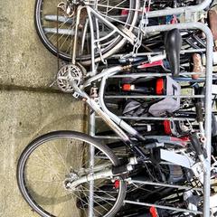 Damenrad Koga, gemeldet von Stadswerk072 über iLost