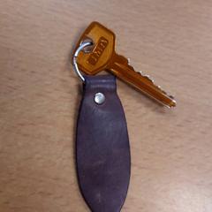 열쇠, iLost를 사용하여 Inntel Hotels Amsterdam Centre에 보고됨