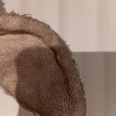 꼭 껴안고 싶은 장난감, iLost를 사용하여 De Efteling에 보고됨