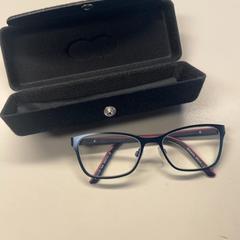 Brillenetui mit brille, gemeldet von Burgers' Zoo über iLost