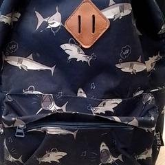 バックパック がiLostで Qbuzz Fryslân によって報告されました